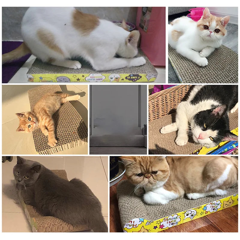 The Cat Cardboard Scratcher